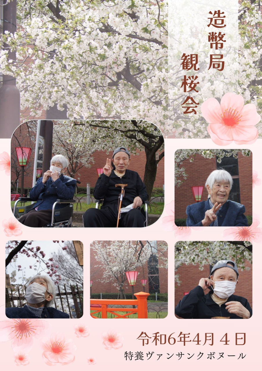 造幣局　観桜会🌸